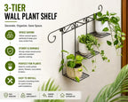 Elegant 3-Tier Metal Wall Plant Holder